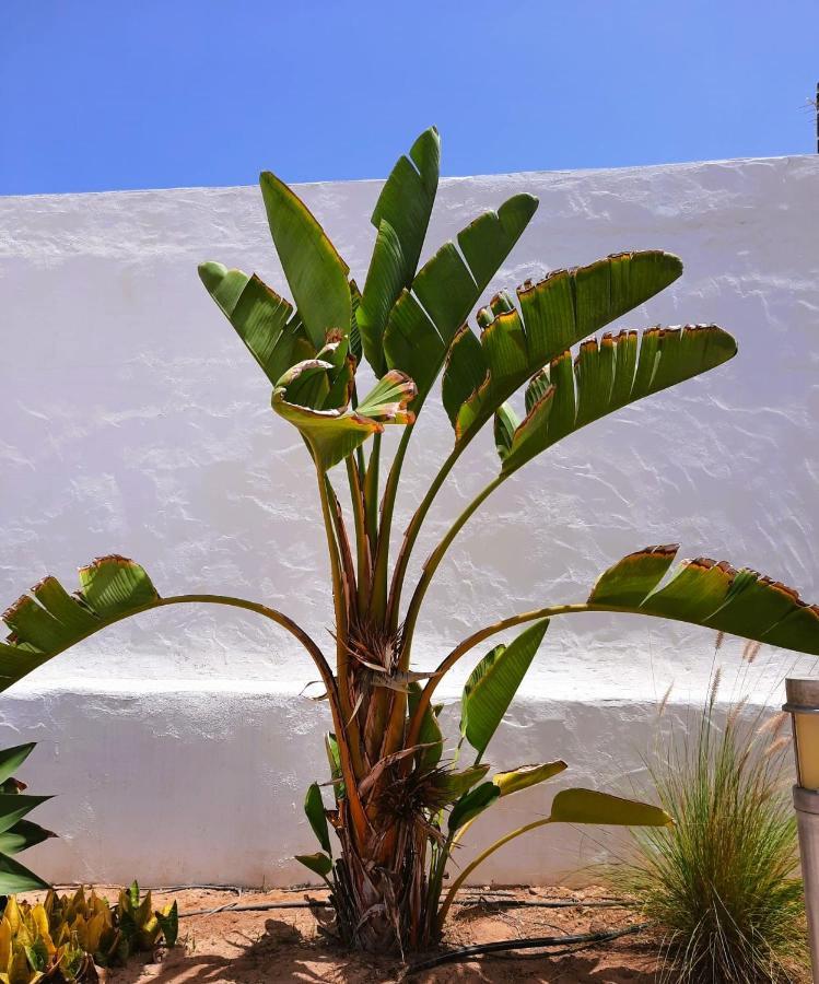 Casa Vivi Fuerteventura Apartment Corralejo Exterior photo